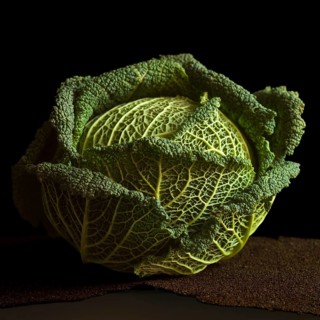 A fresh cabbage is presented on a dark surface, highlighting its layered leaves and intricate