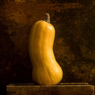 A butternut squash stands upright, showcasing its sleek curves and warm hues. The background's rich