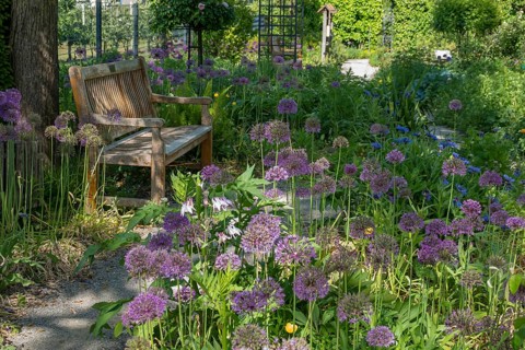 District educational garden, Burgsteinfurt, Münsterland, North Rhine-Westphalia, Germany