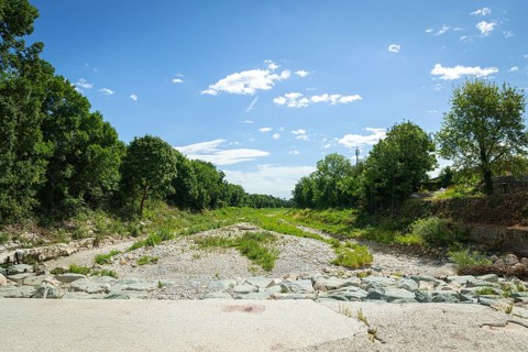 Extensive dry riverbed of the Schwarza with vegetation and surrounding nature, Neunkirchen, Lower