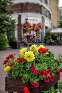 Rosa Khutor. Big Sochi. Russia