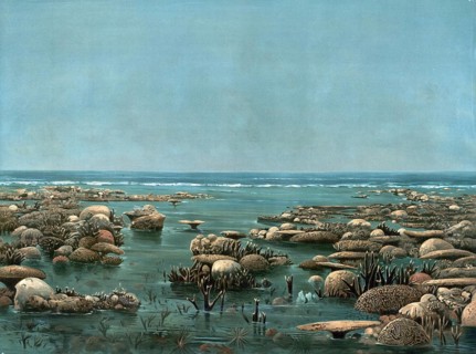 Woody Island, small island about 25 kilometers northeast of Port Douglas on the Coral Sea coast in