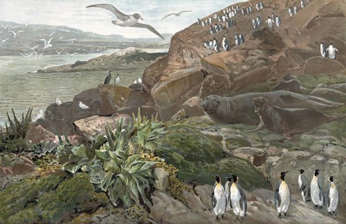 Landscape on the Kerguelen Archipelago, sub-Antarctic archipelago in the southern Indian Ocean,