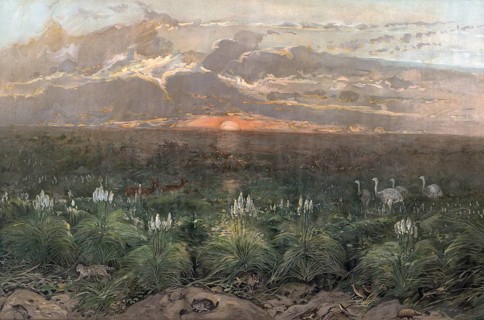 Landscape in the Pampas, flat, woody grassland in southeastern South America, Argentina, authentic
