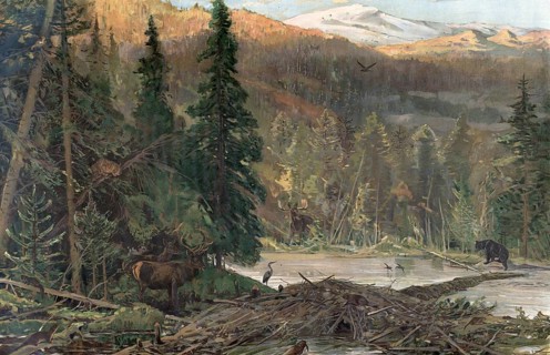 Coniferous forest in North America, Oregon, America, authentic reproduction of a school mural,