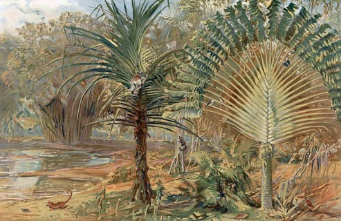 Prehistoric jungle in Madagascar, Africa, authentic reproduction of a school mural, historical,