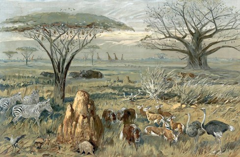 Serengeti, steppe landscape with animals in South Africa, authentic reproduction of a school mural,