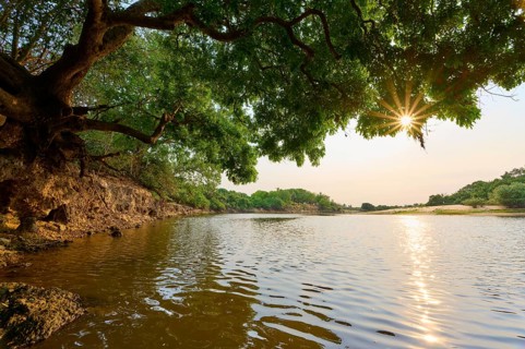 Sun rays break through the trees on the riverbank, picturesque landscape with calm water in the