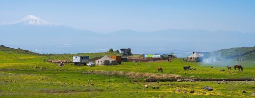 Pasture landscape with horses, tents and views of Mount Ararat in the background, nomads, tents and