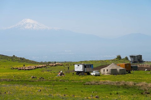 Wide landscape with grazing sheep and tents, dominated by Mount Ararat, nomads, tents and caravans
