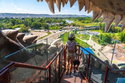 Mother and son enjoying a panoramic view of drumheller from inside the world's largest dinosaur, a