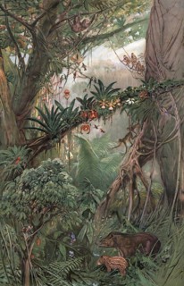 Jungle in the central Amazon region, Brazil, authentic reproduction of a school mural, historical,