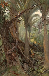 Scene in the Brazilian rainforest, authentic reproduction of a school mural, historical, around