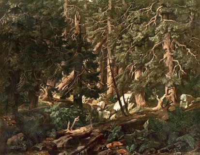 Jungle landscape in Bohemia, today Czech Republic, Czech Republic, authentic reproduction of a
