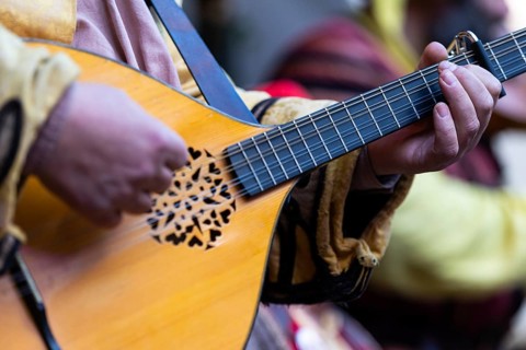 Mandolin player, musician, medieval clothing, medieval market, city of Esslingen, district of