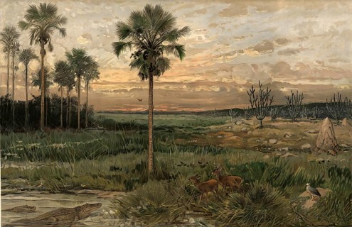 Llanos, wide plains in northern South America, which are mainly characterized by humid savannas,