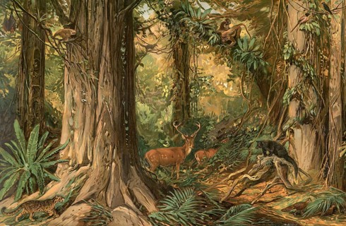 Jungle landscape in Indochina, the mainland areas of Southeast Asia, south of China and east of the