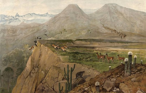 Landscape in the Cordilleras, Cordillera, American Cordillera from North to South America,