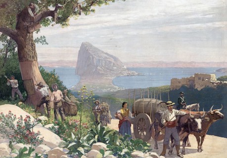 Winegrowers with a barrel on a wagon and harvesting from a cork oak against the backdrop of the