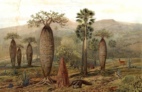 Mountain landscape in Brazil, authentic reproduction of a school mural, historical, around 1900