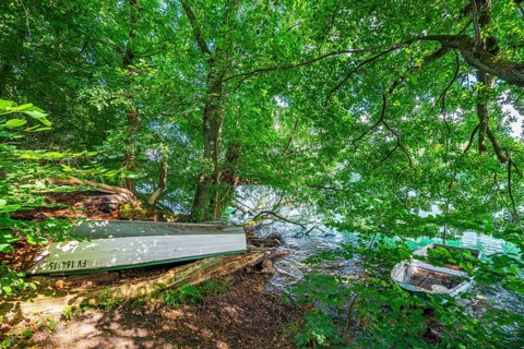 Two rowing boats under trees on the shores of Lake Schmaler Luzin, Feldberger Seenlandschaft,