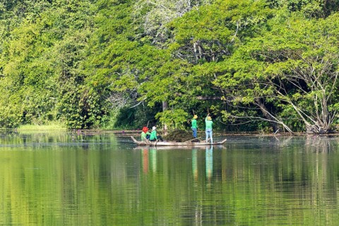 Women harvest seagrass, water channel in Angkor Thom, UNESCO World Heritage Site, Siem Reap,