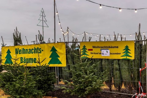 Sale of Christmas trees at a stand in Bad Wimpfen. Bad Wimpfen, Baden-WÃ¼rttemberg, Germany
