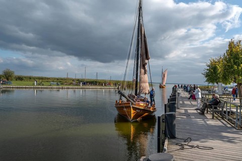 Historic sea boat, formerly used for sailing fishing, arrives at the port of Ahrenshoop,