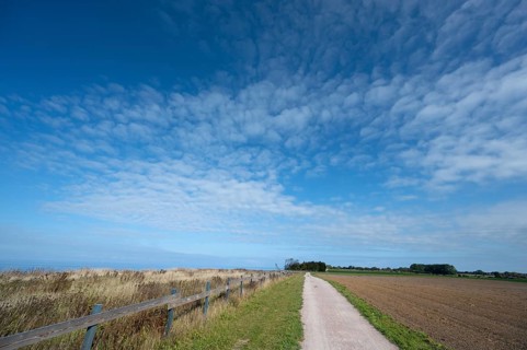 Hiking trail on the steep bank between Ahrenshoop and Wustrow, Wolkenhimmel, DarÃŸ,