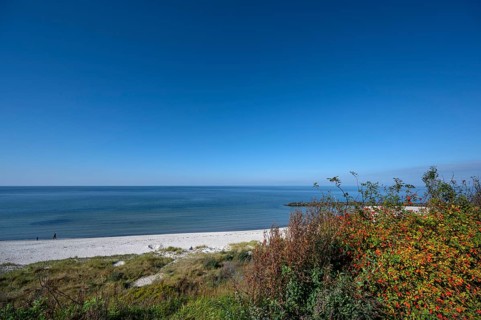 Baltic Sea beach of Ahrenshoop, on the right a rose bush with red rose hips, DarÃŸ,