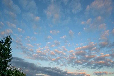 Large fleecy clouds (Altocumulus), Mecklenburg-Vorpommern, Germany