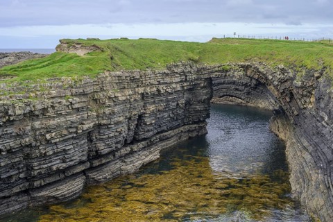 Seaweed in the water at Bridges of Ross, Kilballyowen, County Clare, Ireland