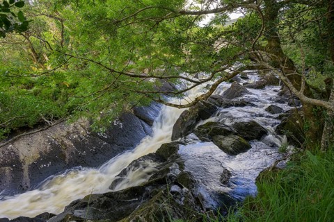 Stream in Killarney National Park, Muckross, Kerry, Ireland