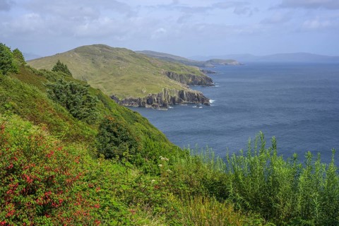 View along the coast, Dzogchen Beara Budistic Centre, Kilnamanagh, County Cork, Ireland