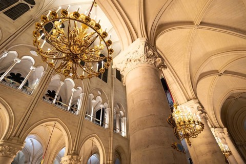 Notre dame cathedral interior showcasing large ornate golden chandeliers illuminating the grand