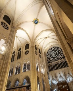 Notre dame de paris cathedral interior showcasing soaring gothic architecture. Pointed arches.