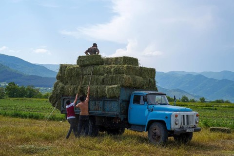 A blue truck is loaded with hay bales, located in a field in front of a panorama of hills, vintage