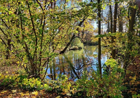 The River Lippe, GrÃ¼ner Winkel, LaumannshÃ¼gel, Lippeaue, Lippstadt, North Rhine-Westphalia,