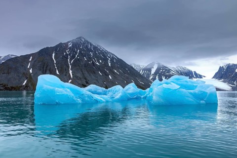 Ice floes calved from Lilliehöökbreen glacier drifting in the Lilliehöökfjorden, fjord branch of