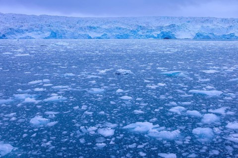 Calving Lilliehöökbreen glacier and resulting ice field in the Lilliehöök Fjord, Lilliehöökfjorden,