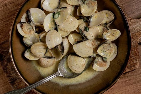 Vongole clams, in cream sauce, homemade, top view, no people
