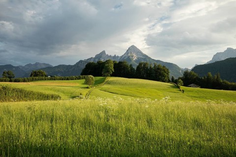 Watzmann at sunset, with meadow and pasture in summer, sunbeams and clouds. Berchtesgaden, Bayern,