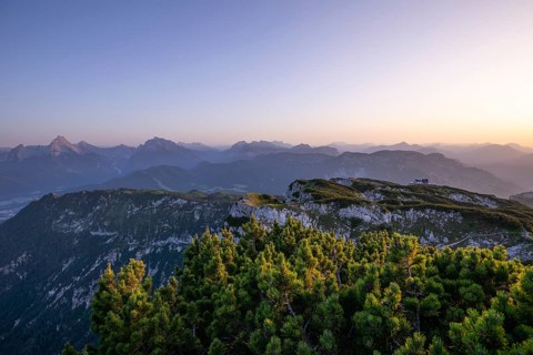 On the Berchtesgaden High Throne in summer at sunset, mountain pine and view of the StÃ¶rhaus on