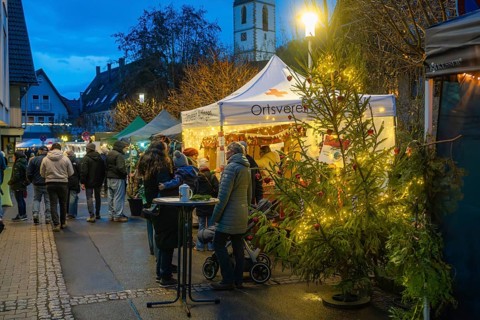 Visitors explore an atmospheric Christmas market with colorful lights, Aidlingen Christmas Market,