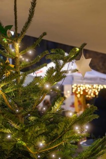 Close-up of an illuminated Christmas tree with a star in front of it, Aidlingen Christmas market,