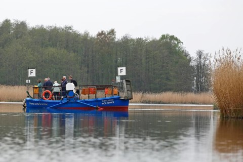 Passenger ferry on the Peene near Stolpe while translating, tourism, Peenetal nature park Park,
