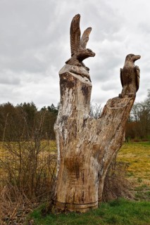 Carved sculpture of a white-tailed eagle (Haliaeetus albicilla) from a tree on the River Peene at