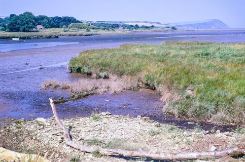 Estuary river mouth of River Nevern at low tide, Parrog, Newport, Pembrokeshire, Wales, UK 5 July