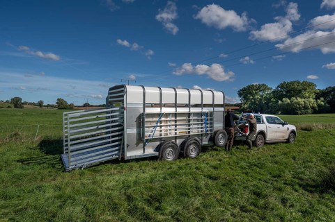 Shepherds prepare sheep loading on pasture with a double-decker animal transporter, Rehna,