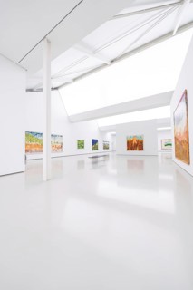Bright art gallery with various paintings on white walls in modern design, Open Horizons